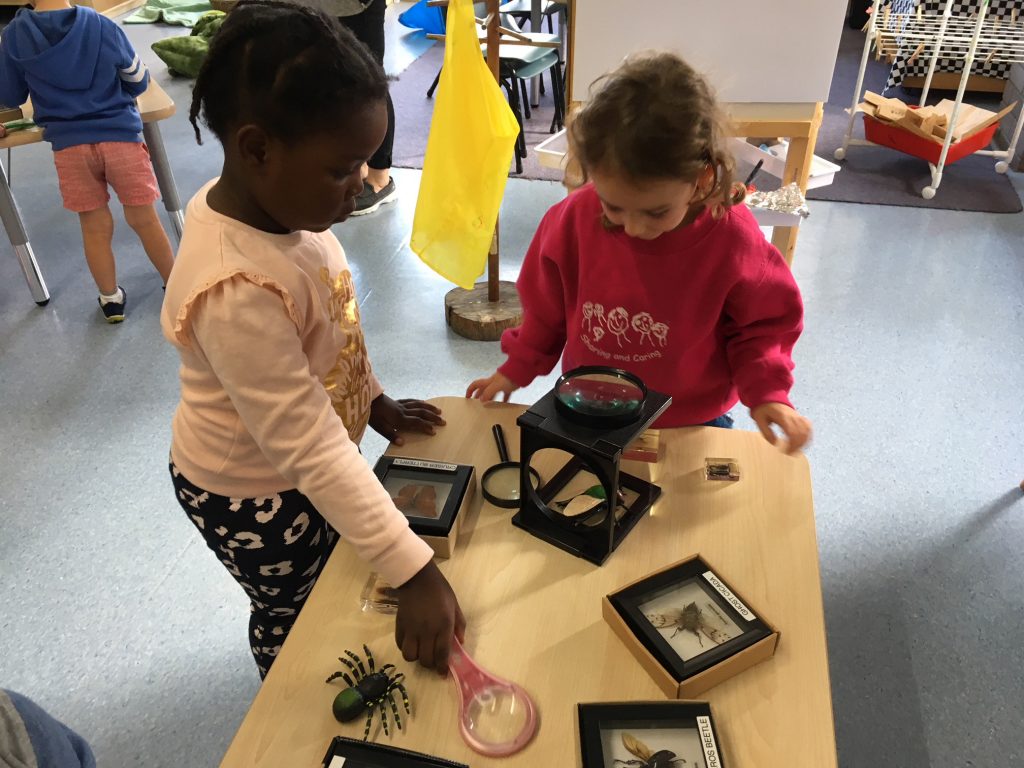 Children learning about bugs during Curious Young Minds